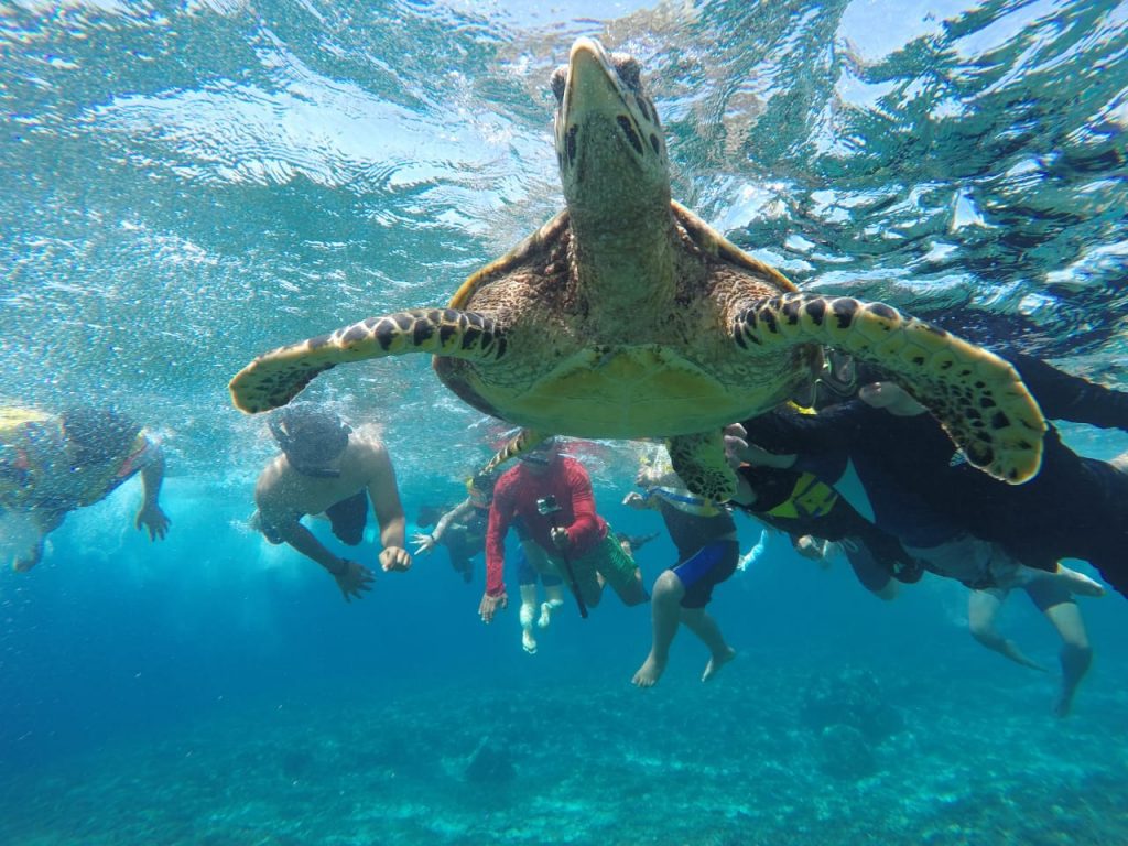 Travel Wisata Lombok Berpengalaman
