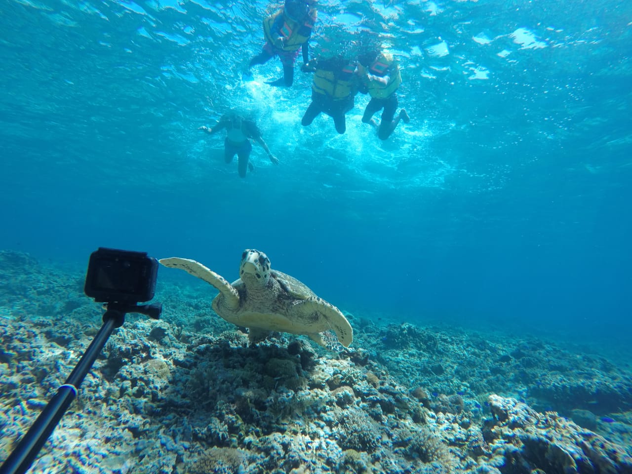 Tour Travel di Lombok 