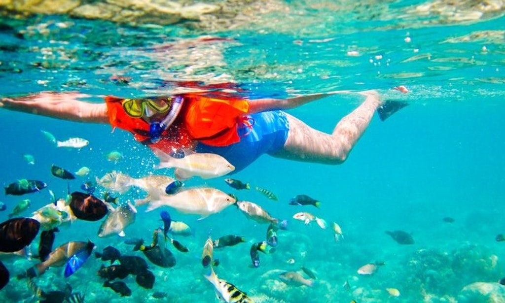 Spesialis Tour Travel di Lombok